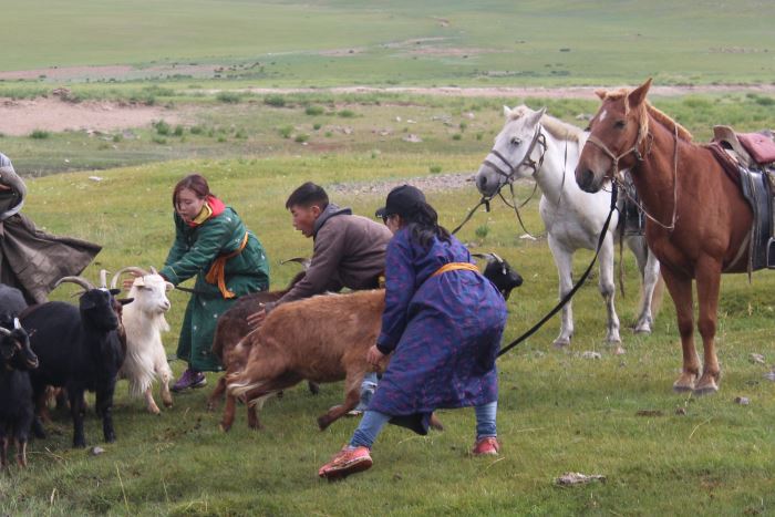 Mongolia 9